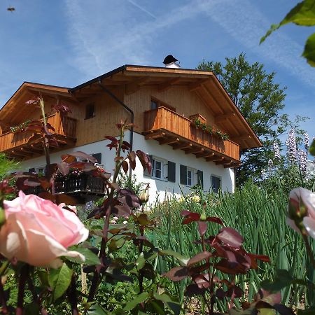 Haus Schlernblick Lägenhet Nova Ponente Exteriör bild